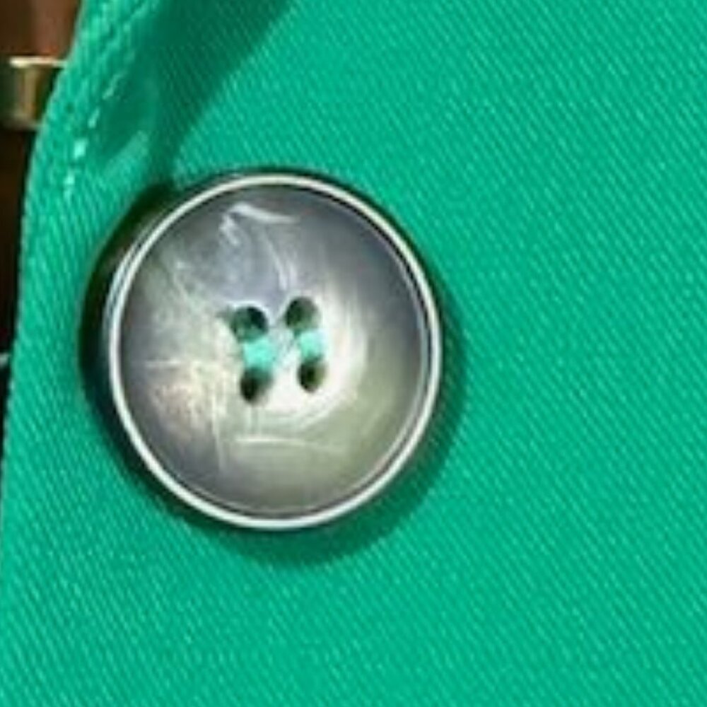 NWOT Kelly Green Leopard Lined Classic Blazer - Picture 11 of 12